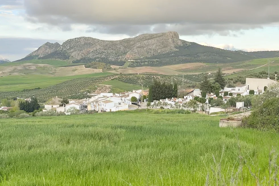 Serrato