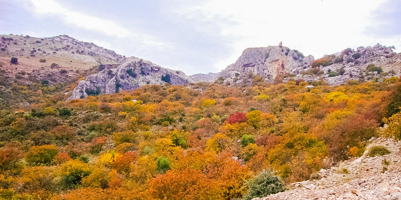 Viaje hacia el Corazón del Cornicabral