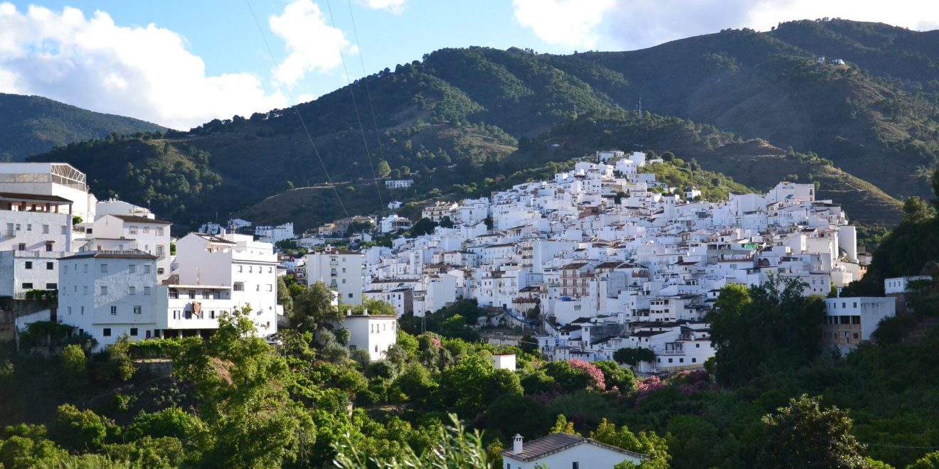 Vista Tolox