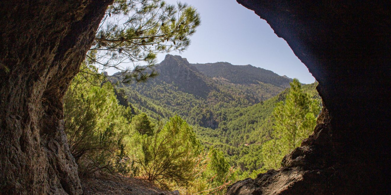 Cañada la Encina, Parque Nacional Sierra de las Nieves - El Burgo