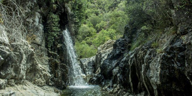 Charco el Canelón