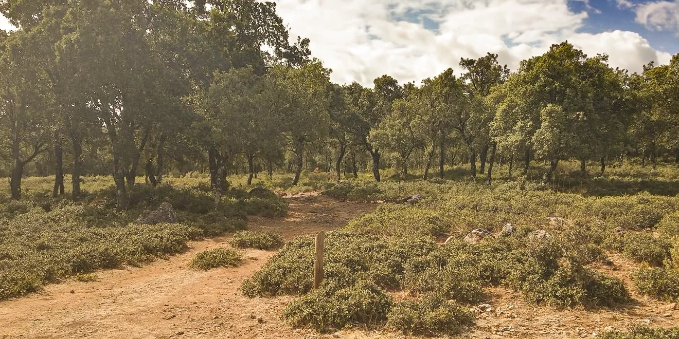 PN Parauta-Conejeras