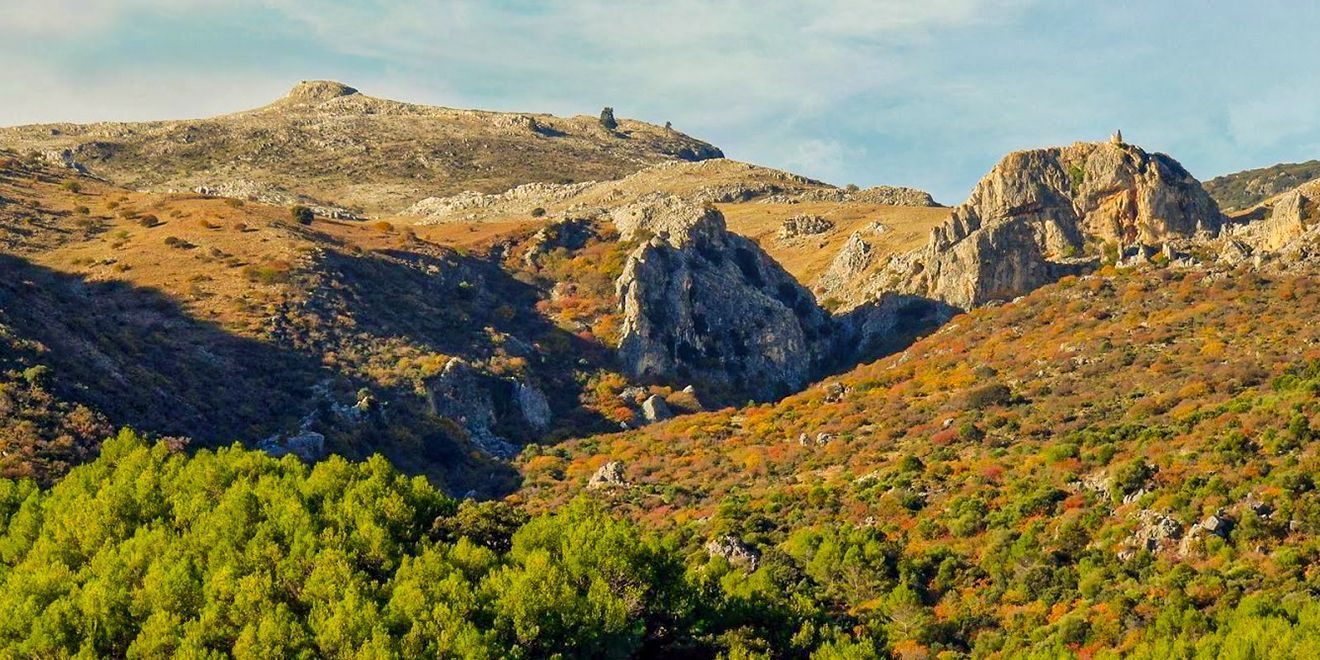 Ruta el Cornicabral del Valle de Lifa