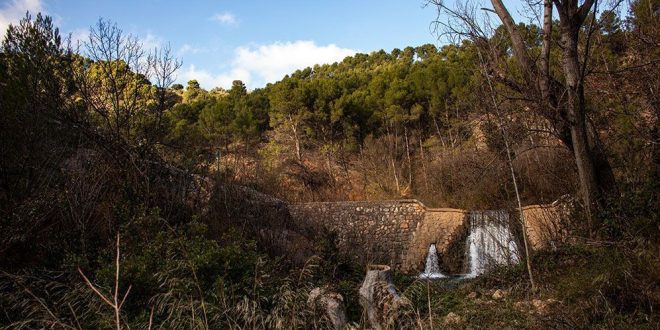 Paseo por el cauce del Río Turón