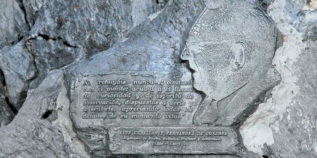 Luis Ceballos