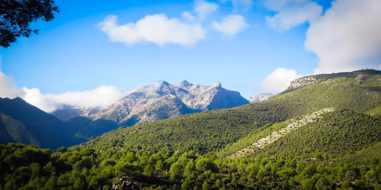 Ruta Tolox - Castañar Puerto de Janón