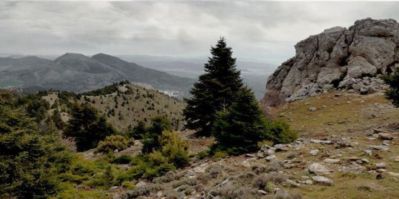 Peña el Cuco