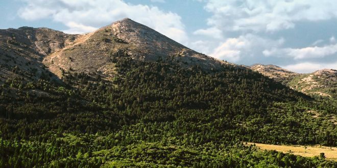 Ruta senderista al Pinsapar de Parauta