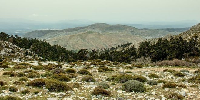 Quejigales – Puerto de los Pilones ruta de contrastes