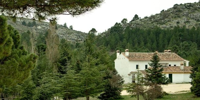 Quejigales – Puerto de los Pilones ruta de contrastes