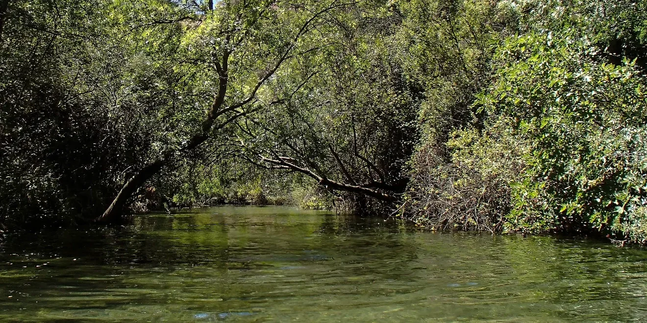 Descubre la Ruta Fluvial del Río Turón: Una Joya en la Sierra de las Nieves
