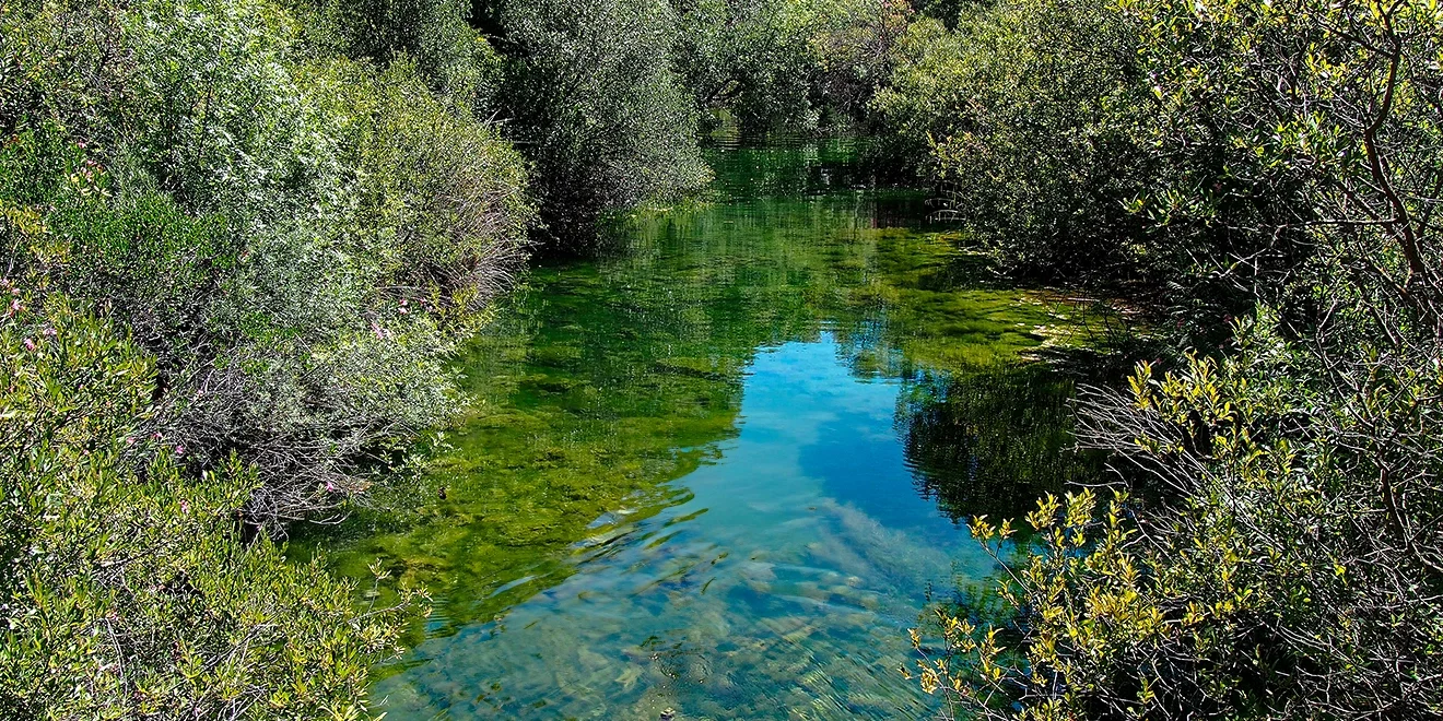 Descubre la Ruta Fluvial del Río Turón: Una Joya en la Sierra de las Nieves