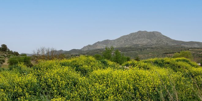 Ruta Los Meguellines - El Burgo, Sierra de las Nieves