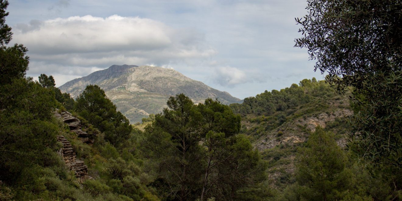 Sendero Manuel Garcia Rosa - Puerto de la Mujer, El Burgo, Sierra de las Nieves