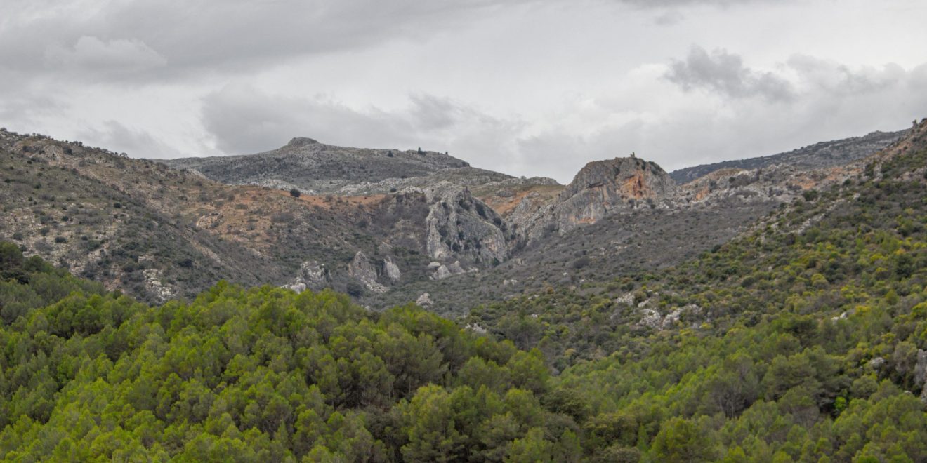 Valle de Lifa (El Burgo) - Sierra de las Nieves